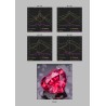Gem-Project Vol. 5